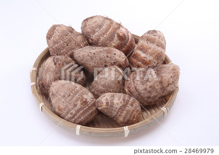 Taro Taro 28469979