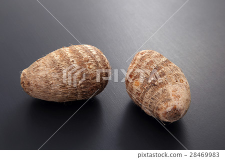 Taro Taro 28469983
