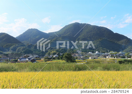 Nikami mountain in the fall fruit 28470524