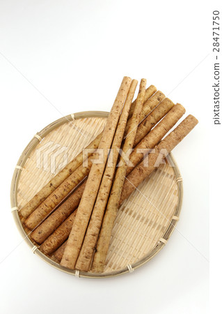 Burdock root 28471750