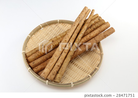 Burdock root 28471751