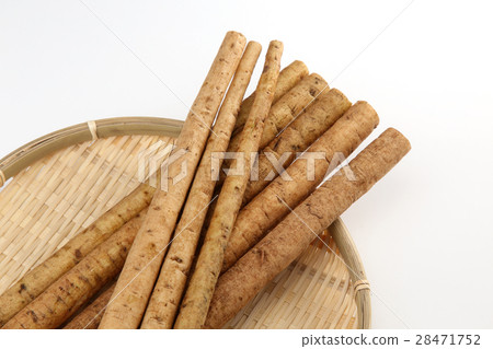 牛蒡根 牛蒡根 28471752