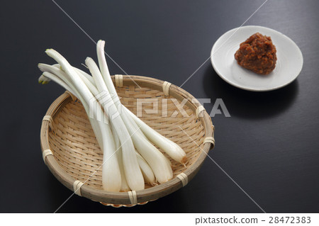 shallot shallot 28472383