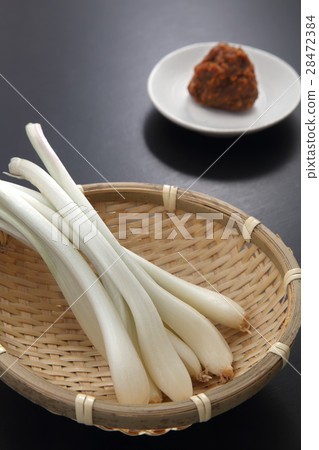 shallot shallot 28472384