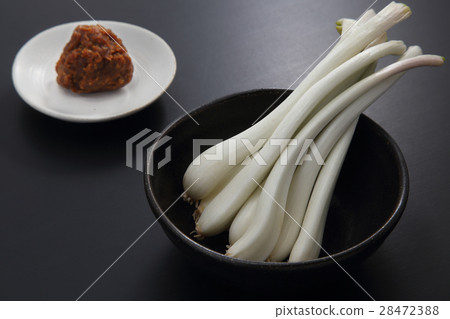 shallot shallot 28472388