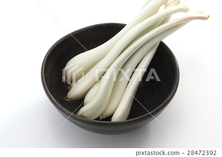 青蔥 28472392