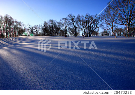 早晨多雪的領域~Horaiishi冬天風景 早晨多雪的領域~Horaiishi冬天風景 28473258