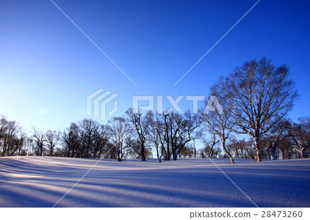 早晨多雪的領域~Horaiishi冬天風景 早晨多雪的領域~Horaiishi冬天風景 28473260