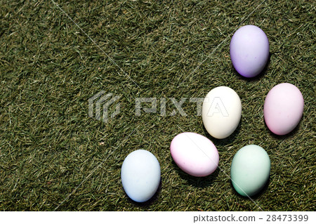 egg on grass of easter concept 28473399