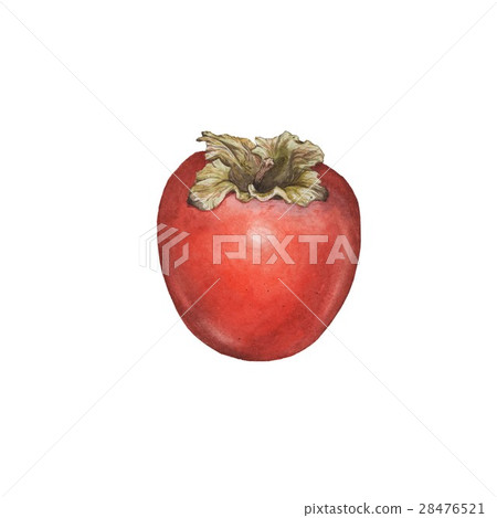 Persimmon. 28476521