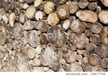 log background from round old wooden log background from round old wooden 28477749