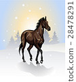 vector drawing of a horse 28478291