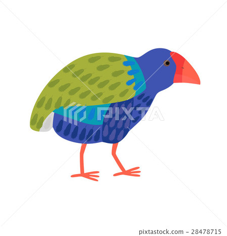 Takahe flightless bright bird 28478715