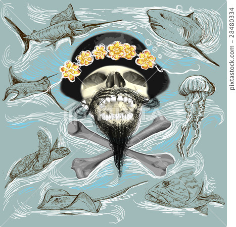 Pirate skull and underwater life Hand drawn vector 28480334