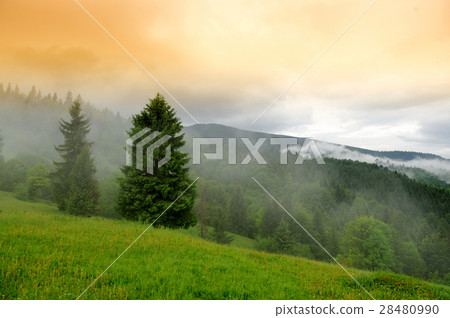 Mountain landscape 28480990