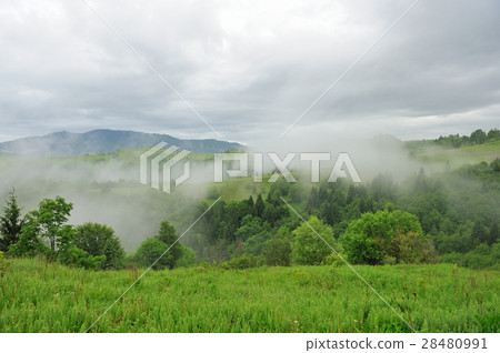 Landscape with fog in mountains Landscape with fog in mountains 28480991