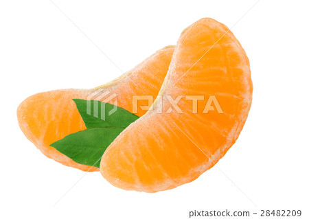 Two slices of tangerine with leaves isolated on Two slices of tangerine with leaves isolated on 28482209
