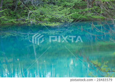 Goshikinuma新鮮的綠色 28483579