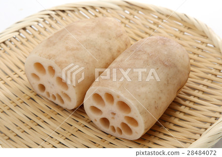 蓮藕 蓮藕 28484072