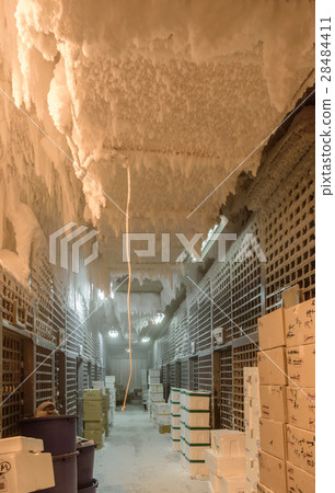 冷凍倉庫 28484411