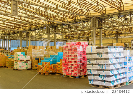 Yokohama Central Wholesale Market Branch 28484412