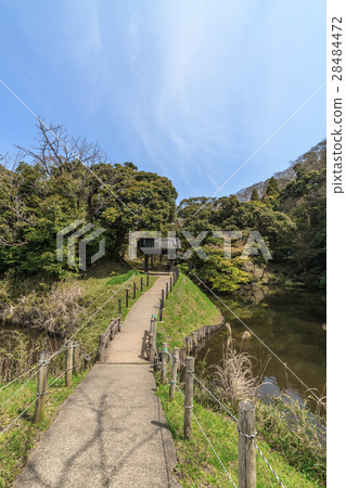 A landscape of Sakura castle ruins of spring 28484472