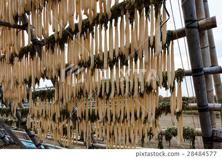 Cold Dried Radish Cold Dried Radish 28484577