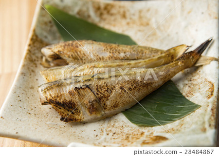 Grilled Broiled Pork Grilled Broiled Pork 28484867