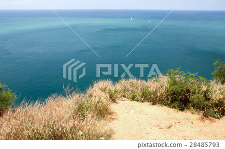 landscape nature with tree mountain and ocean 28485793