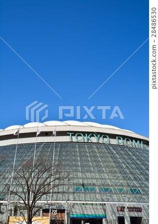 東京巨蛋 東京巨蛋 28486530