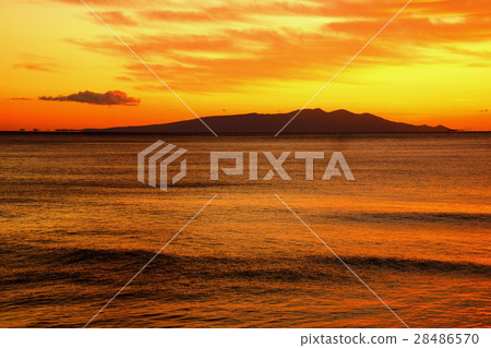 Izu Peninsula Morning glow Izu Oshima Shirahama / Oohama beach resorts Shimoda city Shizuoka prefecture 28486570