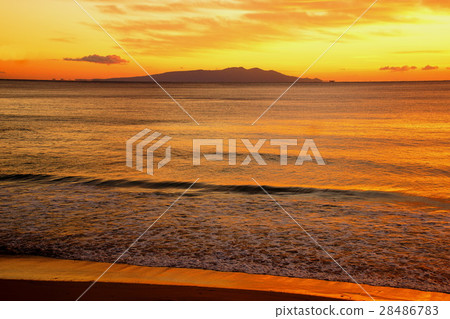 Izu Peninsula Morning glow Izu Oshima Shirahama / Oohama beach resorts Shimoda city Shizuoka prefecture 28486783