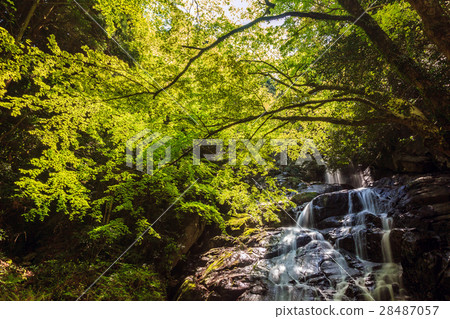 Senjuin Falls 28487057