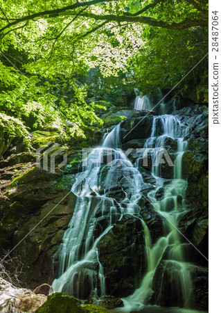 Senjuin Falls 28487064