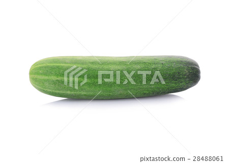 Cucumber isolated on white background Cucumber isolated on white background 28488061