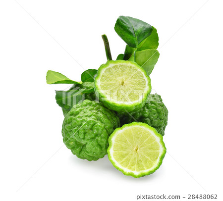 fresh bergamot isolated on white background fresh bergamot isolated on white background 28488062