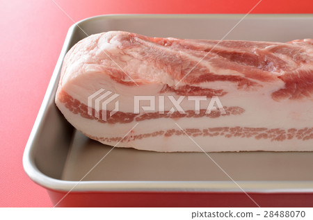 五花肉 五花肉 28488070