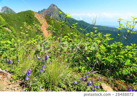 Akatsukake山峰·Akidake從Nikitake的攀登 28488072