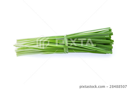 Garlic chives isolated on white background 28488507