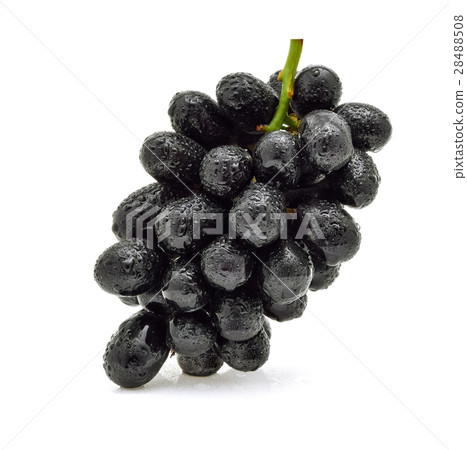 Black grapes with drop of water 28488508