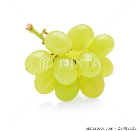 green grapes isolated on white background 28488528