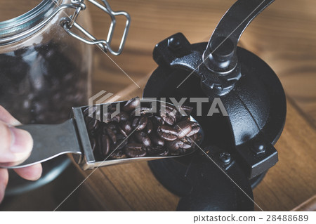 Coffee beans  28488689