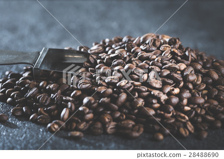 Coffee beans  28488690