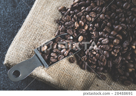 Coffee beans  28488691