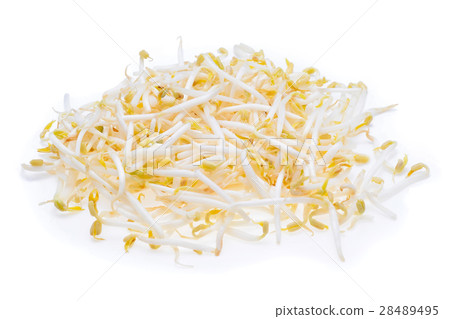 Bean sprouts on white background Bean sprouts on white background 28489495