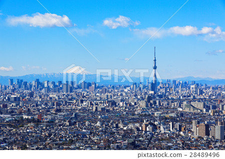 Fuji and Tokyo Sky Tree Fuji and Tokyo Sky Tree 28489496