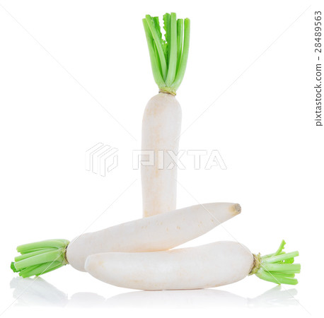 Daikon radishes isolated on white background Daikon radishes isolated on white background 28489563