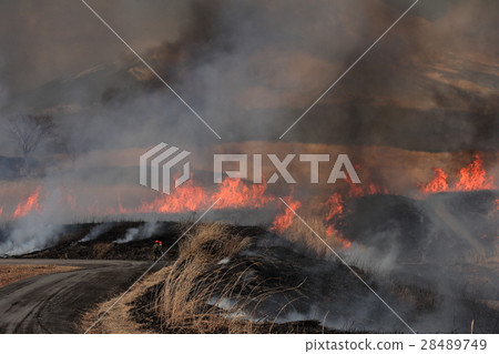 Field burning at the Fuji East Fuji Exercise Area 28489749