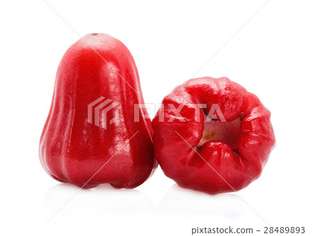 Rose apple isolated on the white background 28489893
