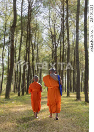 the two monks walking into  the forest  28491121